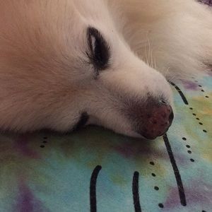 Meet your Posher, Patricia